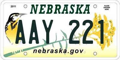 NE license plate AAY221