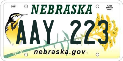 NE license plate AAY223