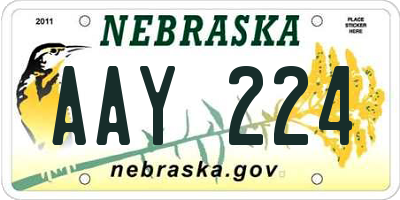 NE license plate AAY224