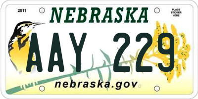 NE license plate AAY229