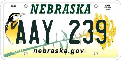 NE license plate AAY239