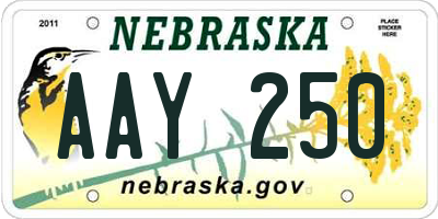 NE license plate AAY250