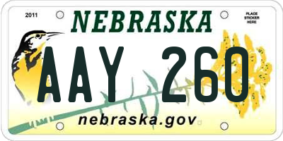NE license plate AAY260