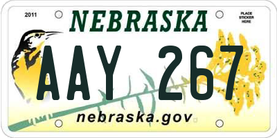 NE license plate AAY267