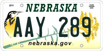NE license plate AAY289