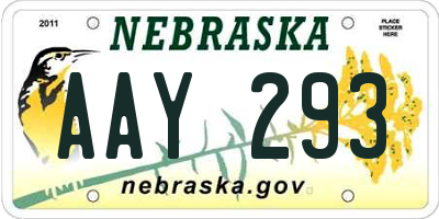 NE license plate AAY293