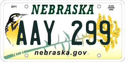NE license plate AAY299