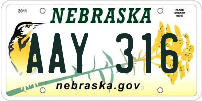 NE license plate AAY316