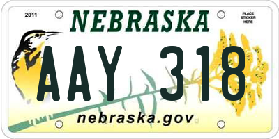 NE license plate AAY318