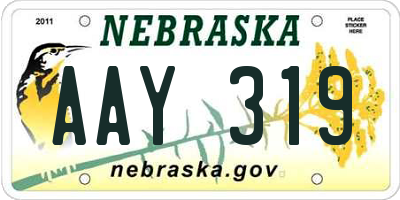 NE license plate AAY319