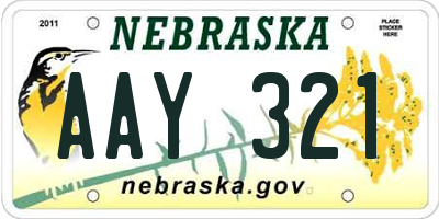 NE license plate AAY321