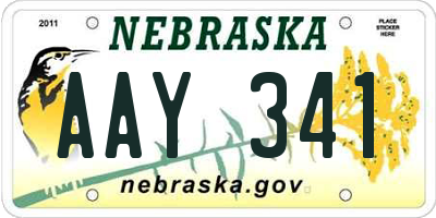 NE license plate AAY341