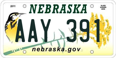 NE license plate AAY391