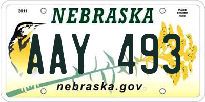 NE license plate AAY493