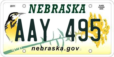 NE license plate AAY495