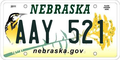 NE license plate AAY521