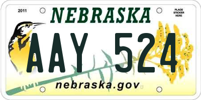 NE license plate AAY524