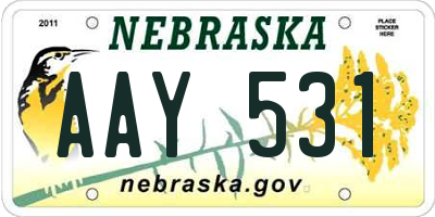 NE license plate AAY531