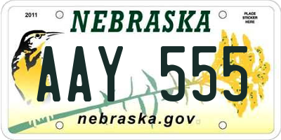 NE license plate AAY555