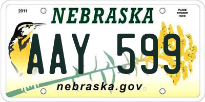 NE license plate AAY599