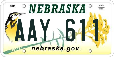 NE license plate AAY611