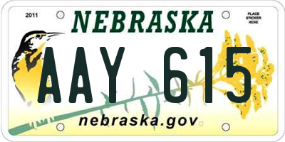 NE license plate AAY615