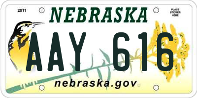 NE license plate AAY616