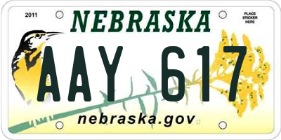 NE license plate AAY617