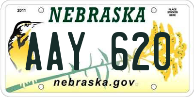 NE license plate AAY620