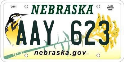 NE license plate AAY623