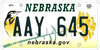 NE license plate AAY645