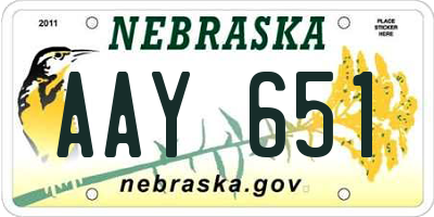 NE license plate AAY651