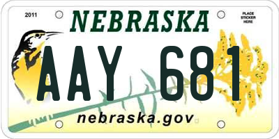 NE license plate AAY681