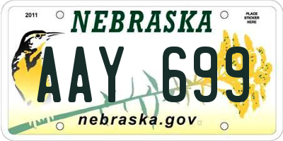 NE license plate AAY699