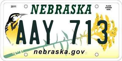 NE license plate AAY713