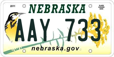 NE license plate AAY733