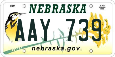 NE license plate AAY739