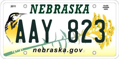 NE license plate AAY823