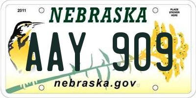 NE license plate AAY909