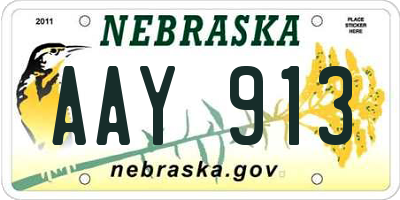 NE license plate AAY913