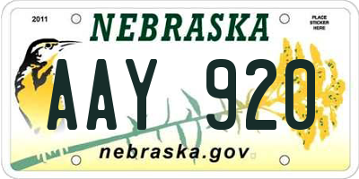 NE license plate AAY920