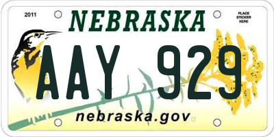 NE license plate AAY929