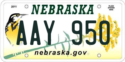 NE license plate AAY950