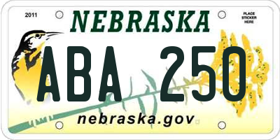 NE license plate ABA250