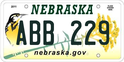 NE license plate ABB229