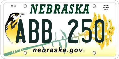 NE license plate ABB250