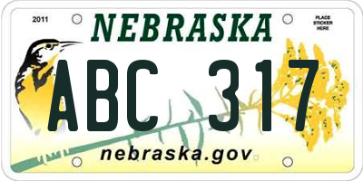 NE license plate ABC317