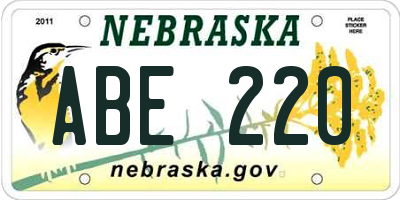NE license plate ABE220