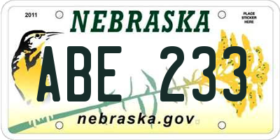 NE license plate ABE233