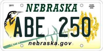 NE license plate ABE250